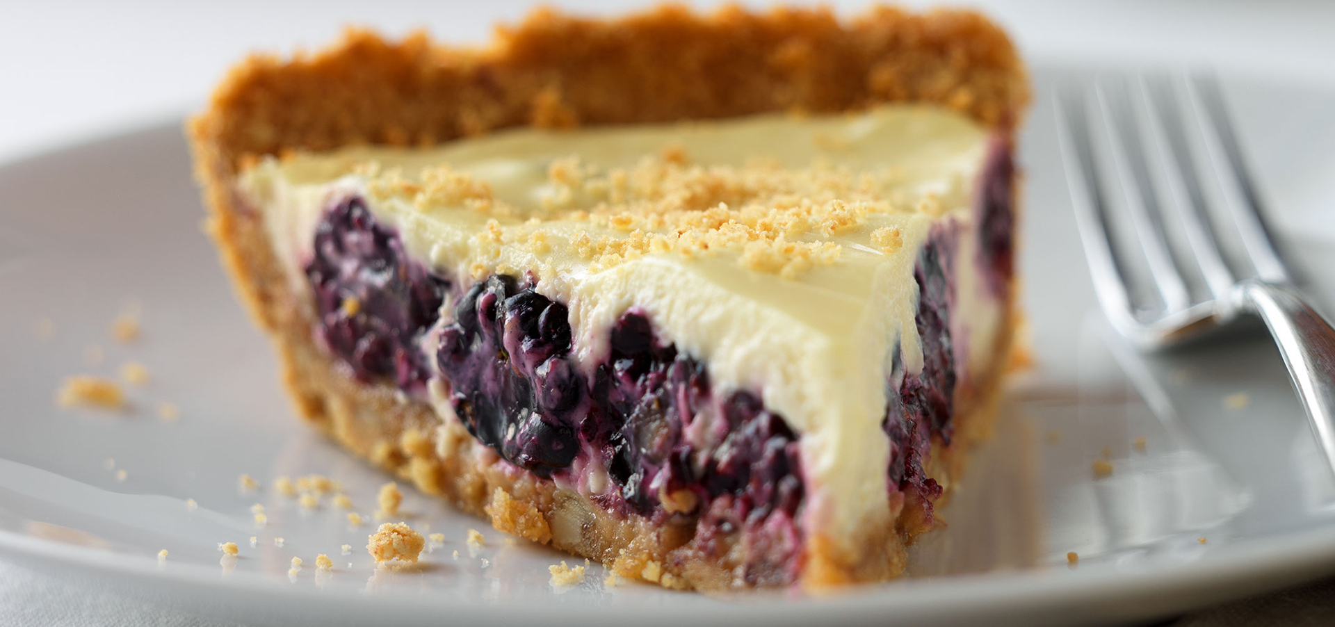 Blackberry Yogurt Pie